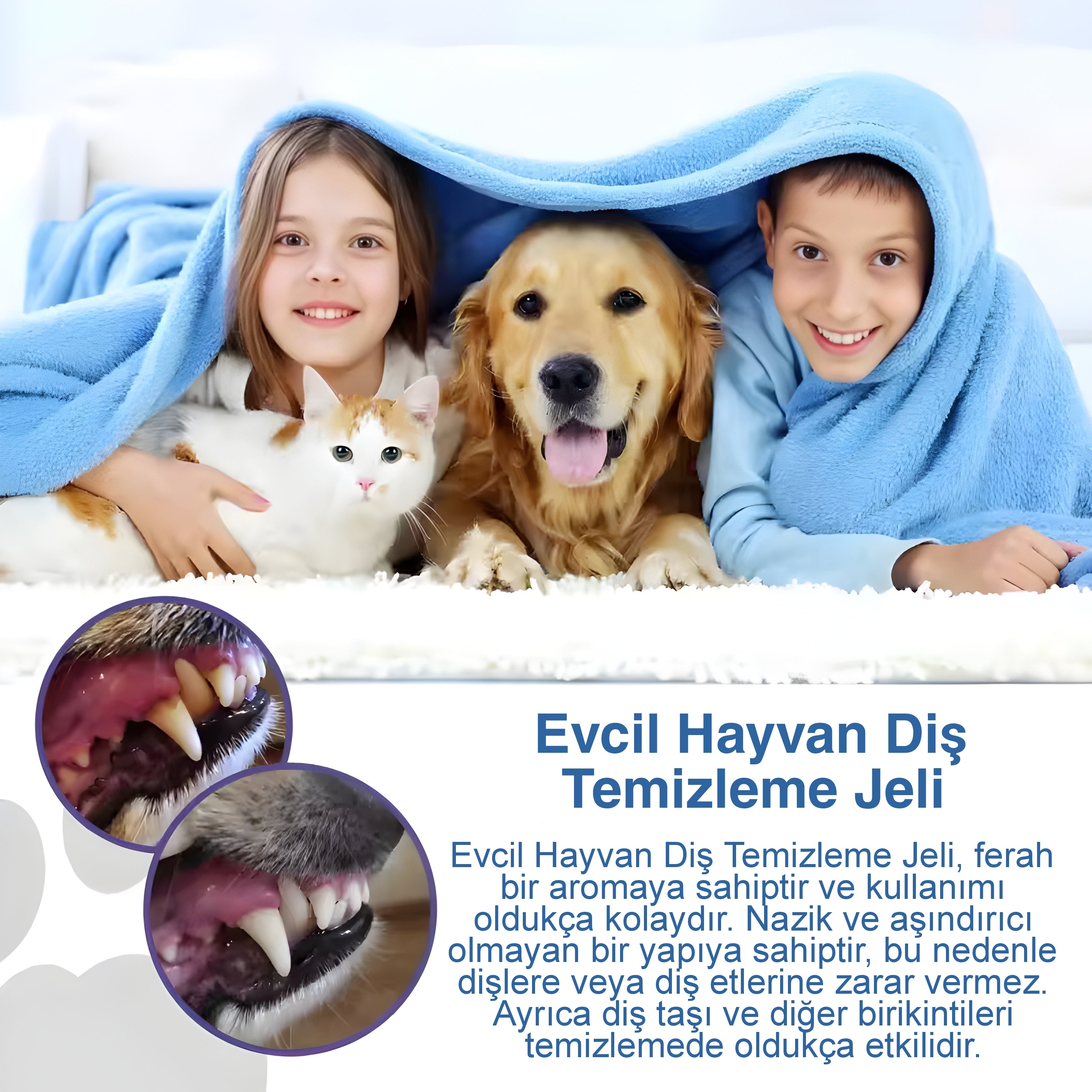 Evcil Hayvan Diş Temizleme Jeli